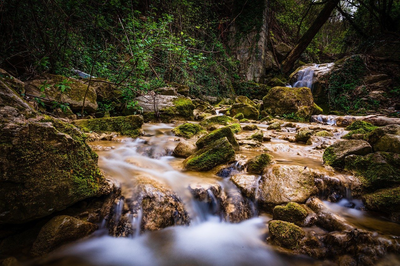 photo, waterfall, forest